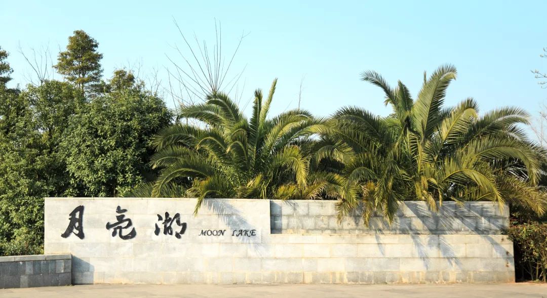 逛起!在贵阳贵安的"超级公园"里尽情撒欢_澎湃号