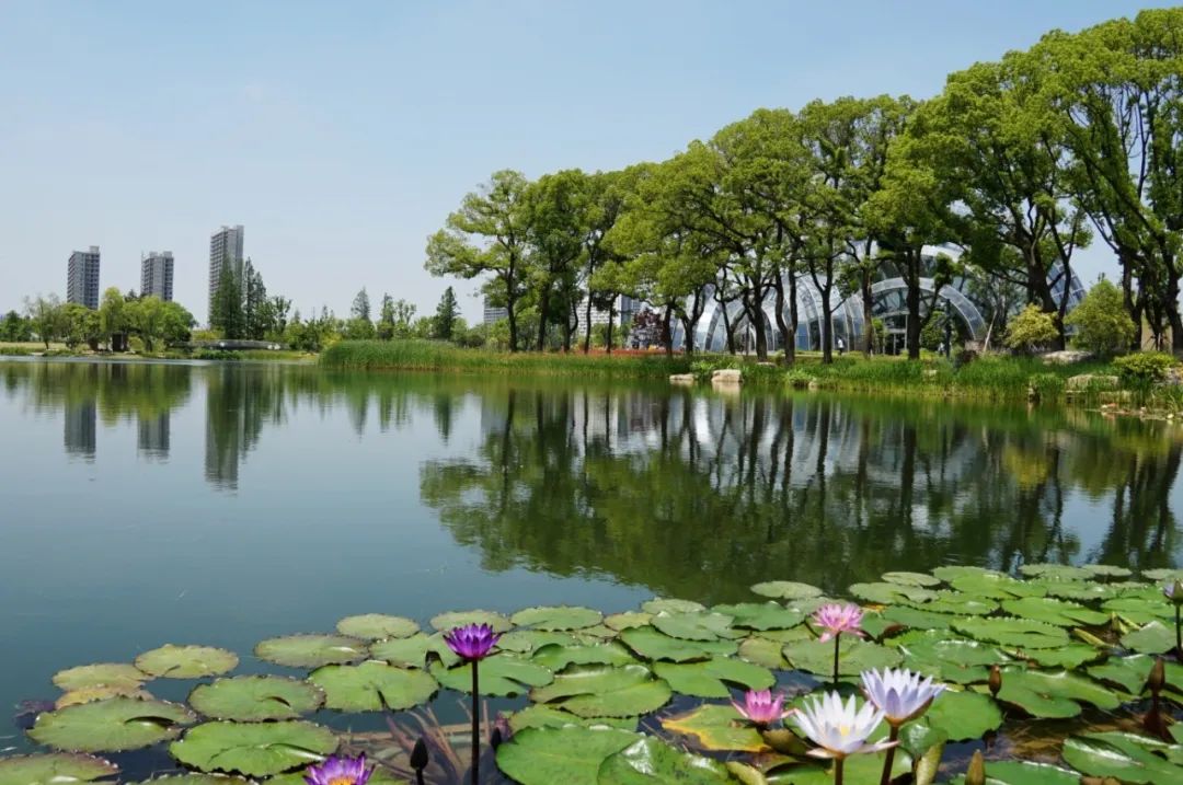 上海植物园 @马伟勤半马苏河公园 @长春苏州河蝴蝶湾 @金忠原标题