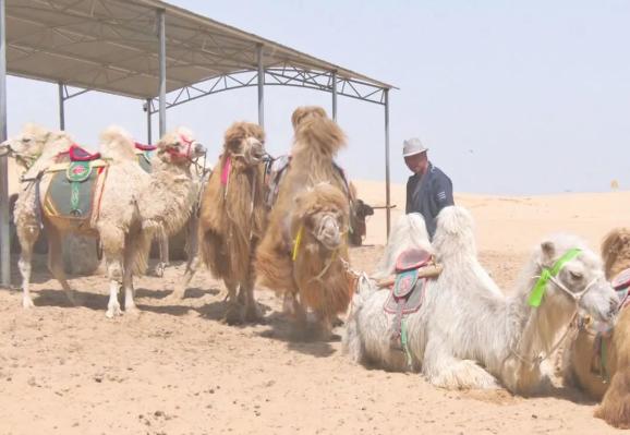 乌恩齐是库伦旗库伦镇瓦房牧场三分场村民,在库伦旗塔敏查干沙漠旅游