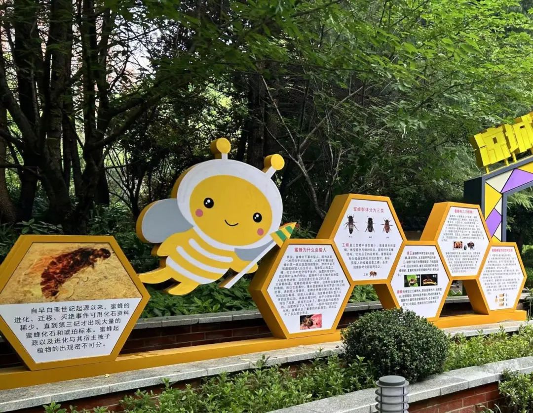 在花园入口处,层层叠叠的绿植小品让原本平平无奇的绿化带更具美感.