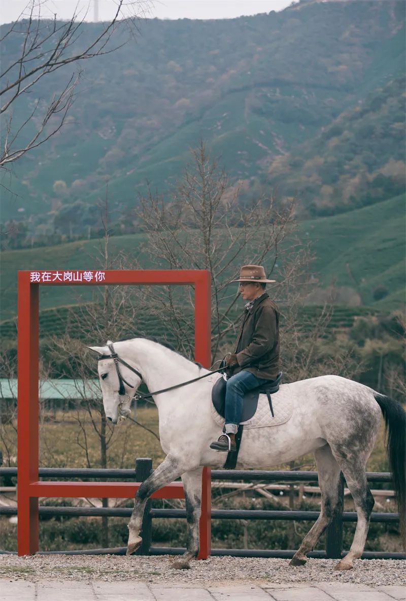 在大岗山营地,老徐以马为伴,在绿水青山间找到心灵的归属.
