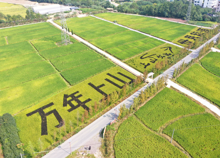 万年水稻南丰蜜桔赣菜"十大名菜"之一,兴国"四星望月"绿色为本,精彩于