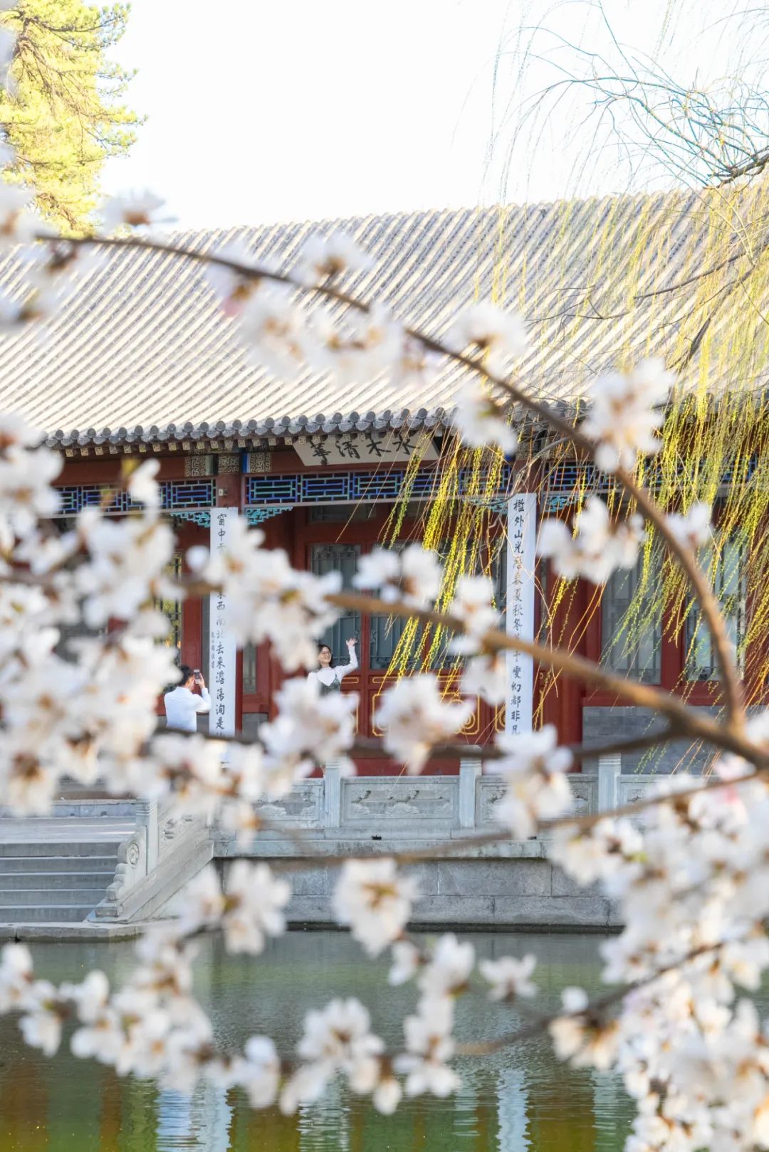 教学与研究的先河,也带出了"把中国文学置于世界文学的总背景下加以观