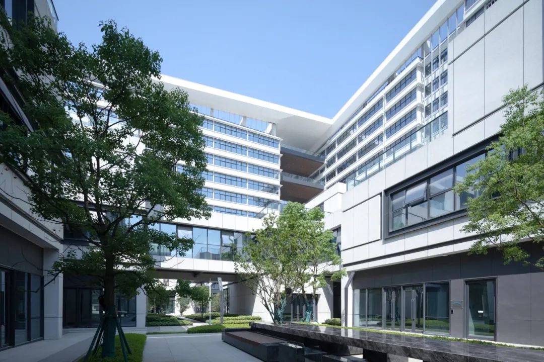 "长"在公园里!星河world科创大厦交付使用