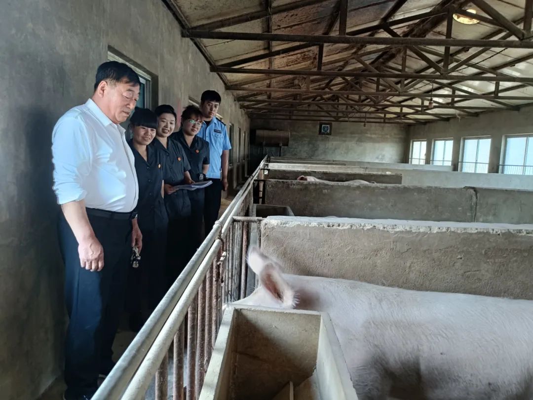 以法之名护山河锦绣——兴隆法院两法庭携手开展环境