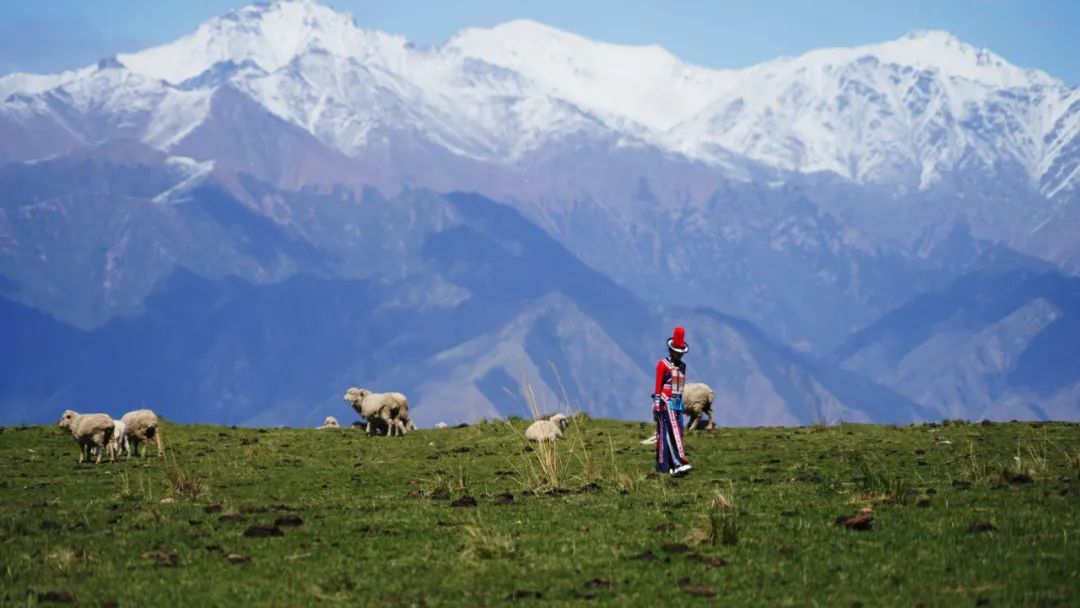肃南:雨润康乐草原后的魅力