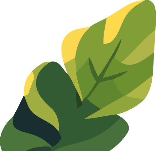 "六五环境日"——全面推进美丽中国建设