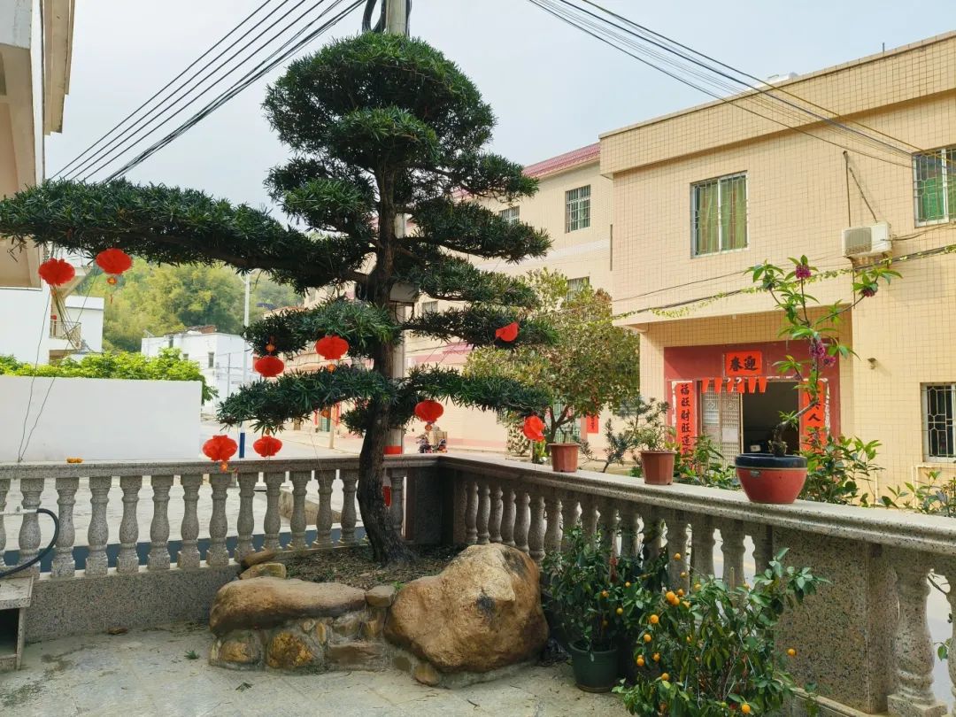 整治行动时从院里杂物堆找出来的,假山是和村里的老手艺人一起设计的