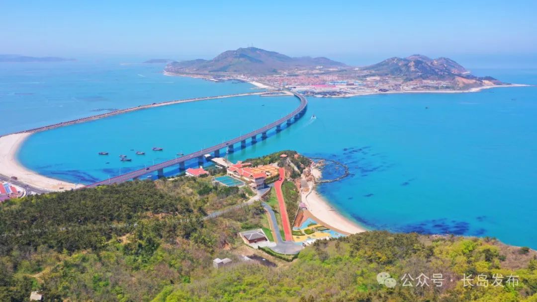 "2024中国电影导演之夜"在烟台隆重举行,导演们走进长岛,打卡山海奇观