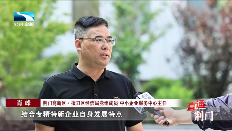 荆门高新区·掇刀区:发展"专精特新" 培育经济新动能