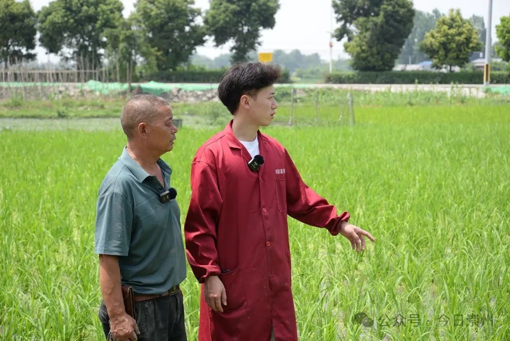 【乡村振兴看崇州】跟着"90后"新农人 看"天府菜篮子"