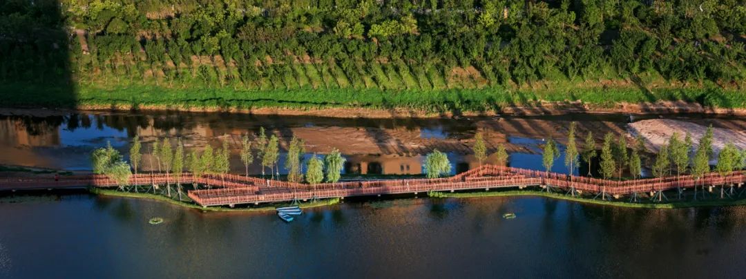 爱在圭塘河丨董元君:圭塘河畔的"打鸟人"