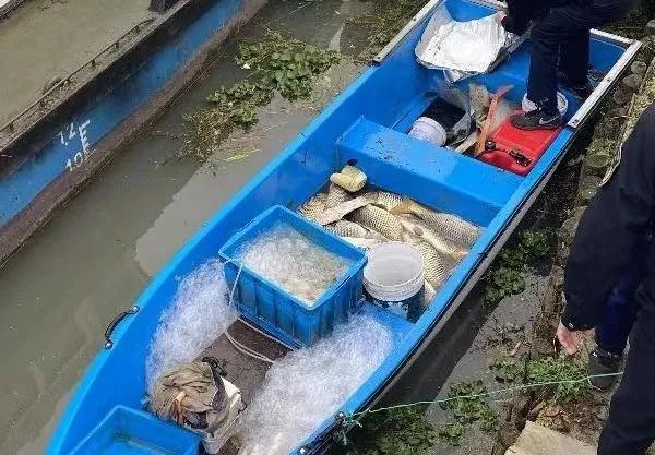 非法电捕鱼100余公斤?"现金赔偿 公益劳动"来还"债"