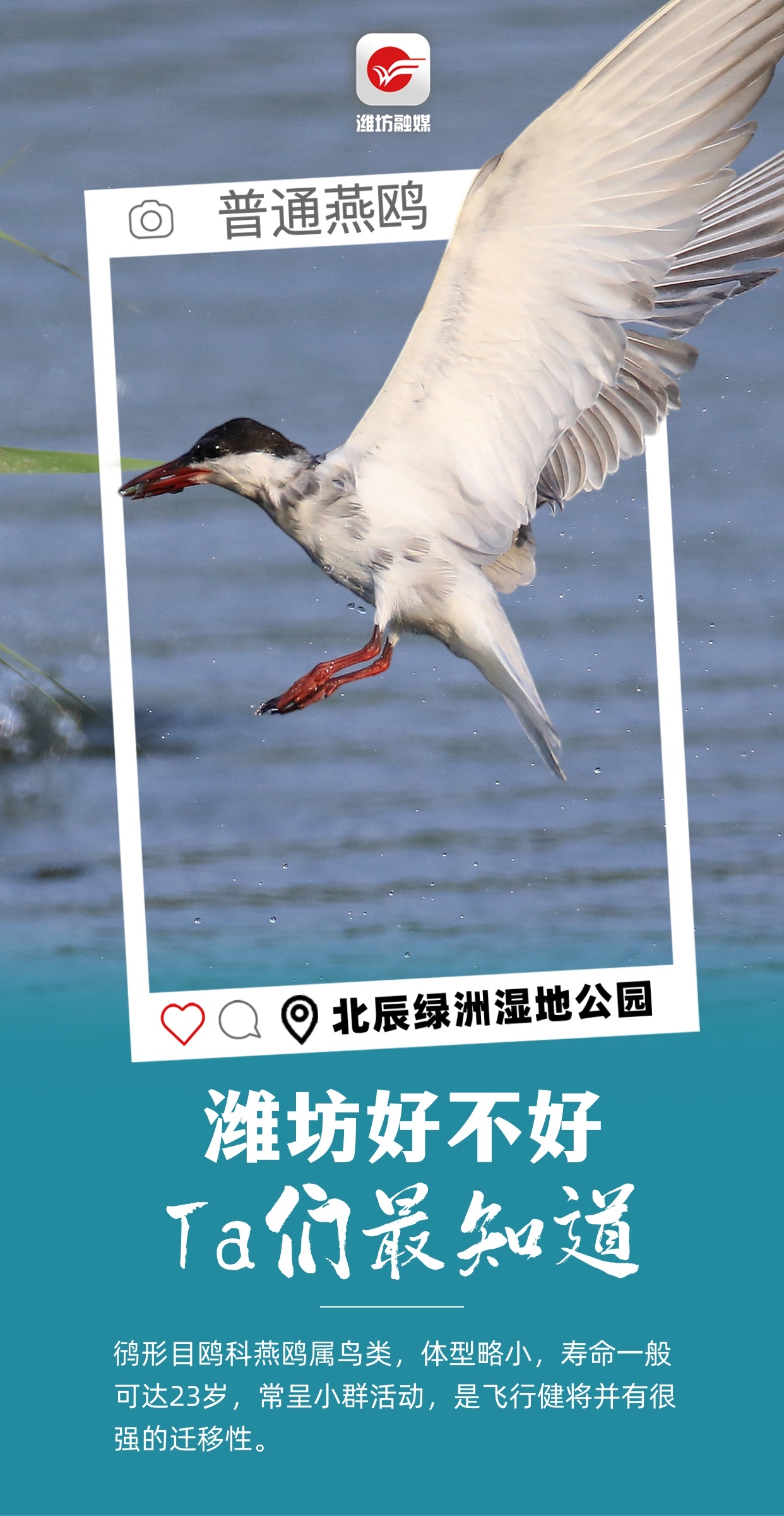 潍坊好不好,ta们最知道