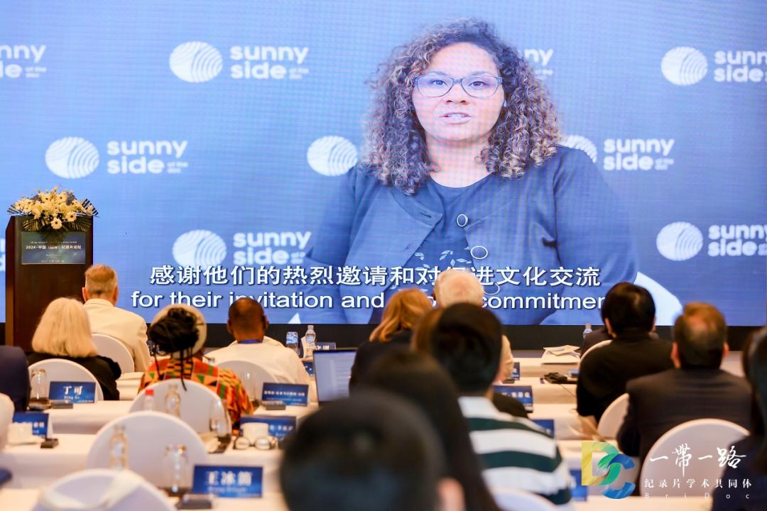 中传举办2024·中国(国际)纪录片论坛