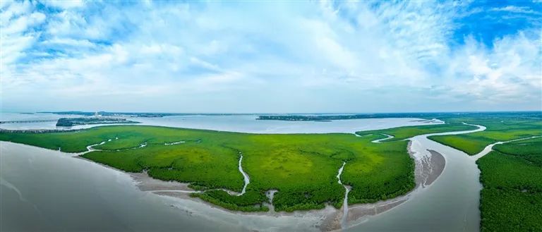 海南,有"颜"有"值"!