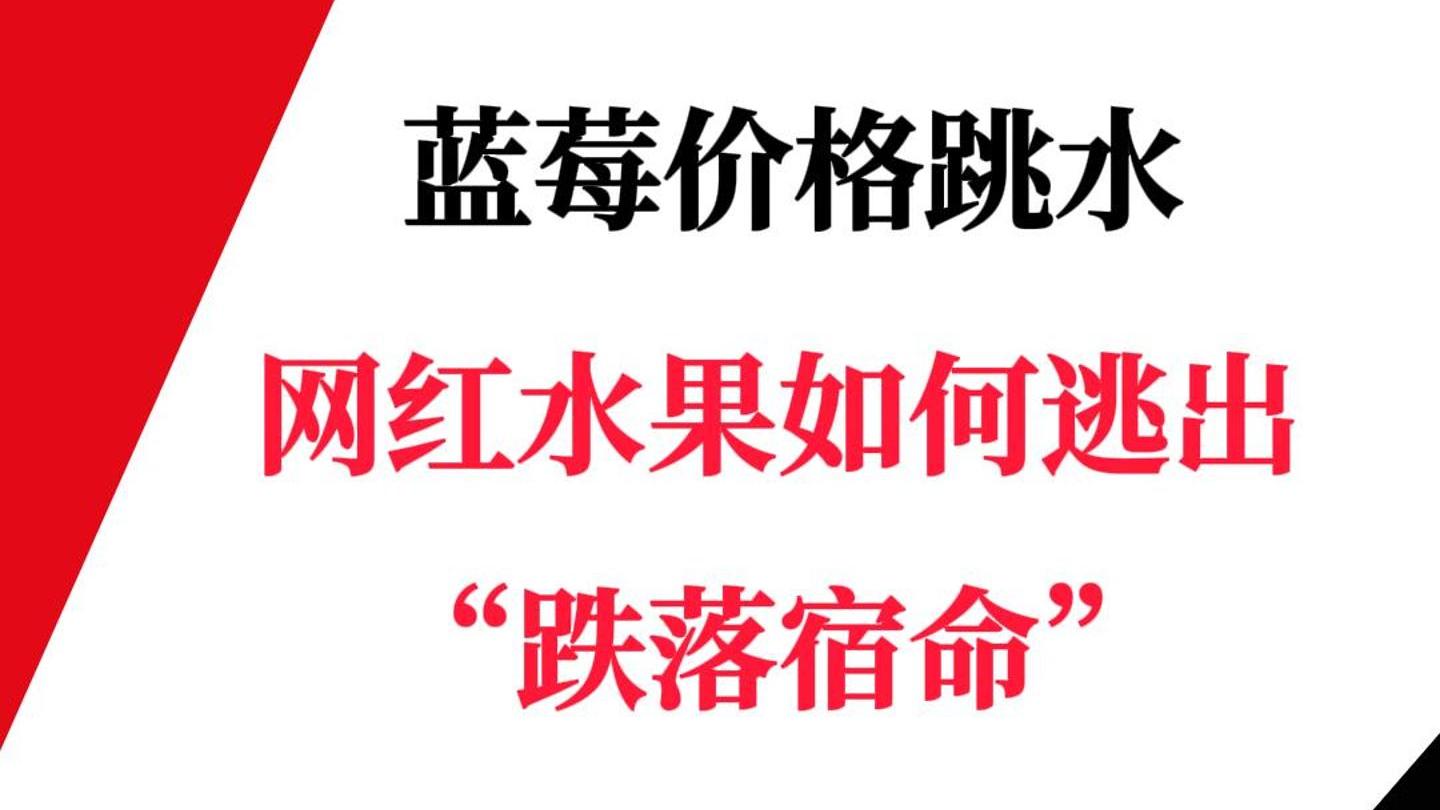 藍(lán)莓價格跳水