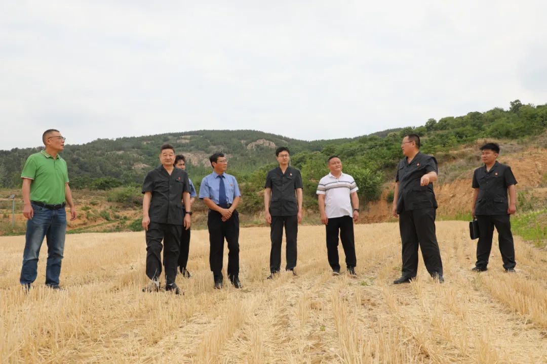 莒南法院召开环境资源审判工作座谈会