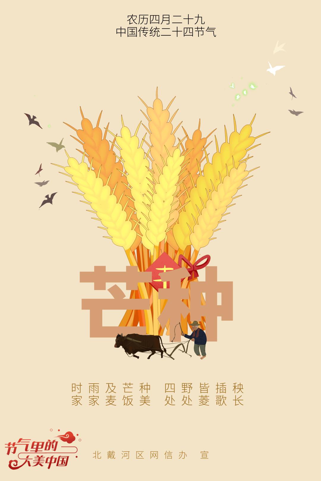 【二十四节气里的大美中国】原创海报|时雨及芒种， 四野皆插秧_澎湃号·政务_澎湃新闻-The Paper
