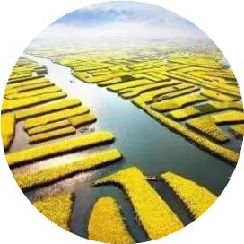 最高36℃!高考天气预测