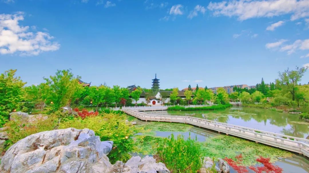 媒体代表从上善广场乘船前往青溪园,知道书院,沉浸式感受青浦环城水系