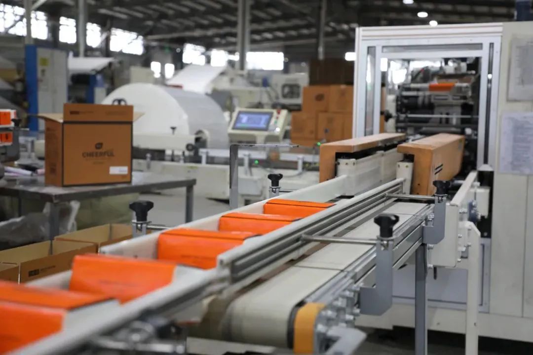 聚"新"成群,一"纸"独秀!来宾千亿级产业集群悄然崛起