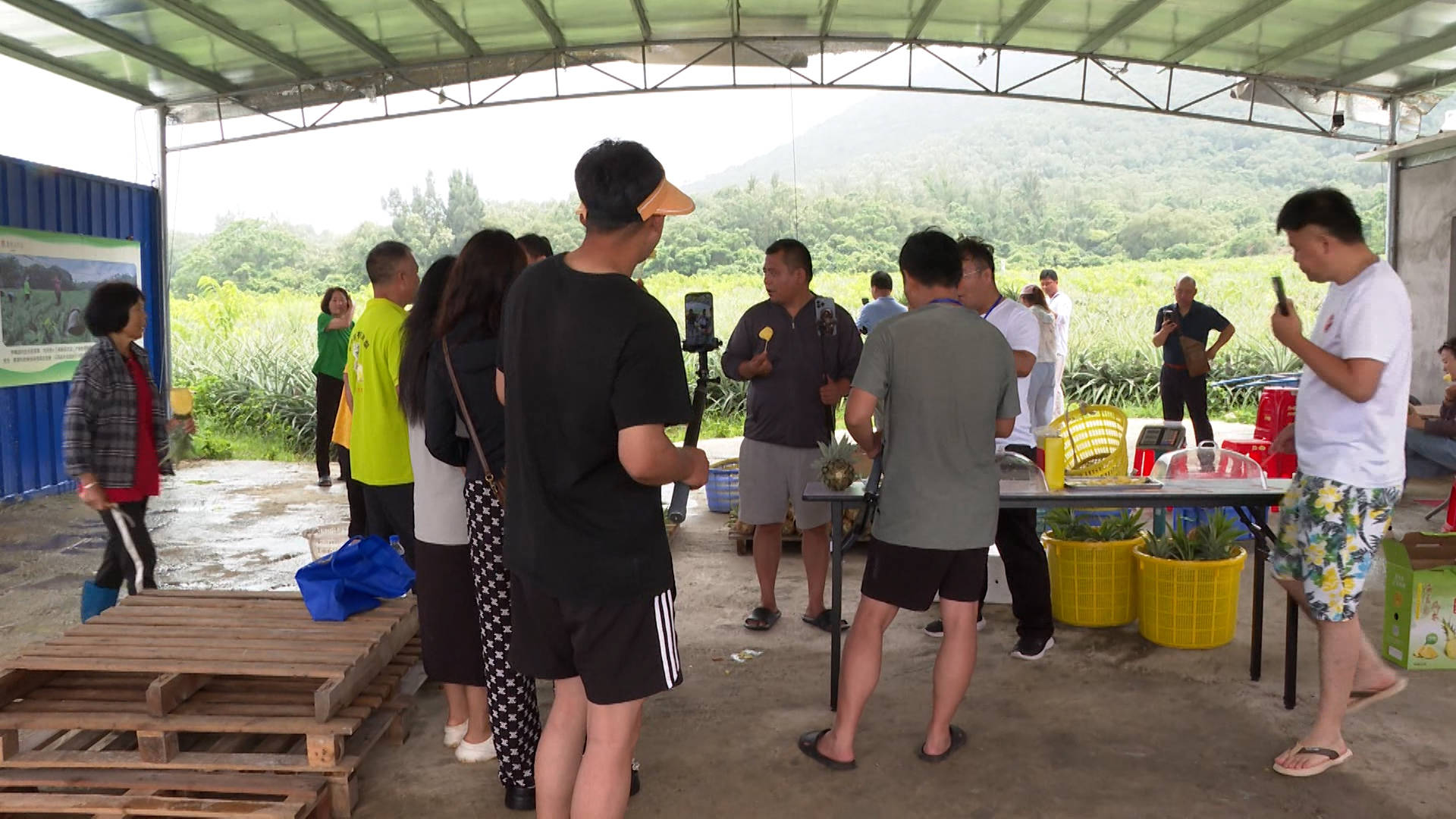 30多名"网红"主播到闸坡镇富悦来生态农场开展助农直播