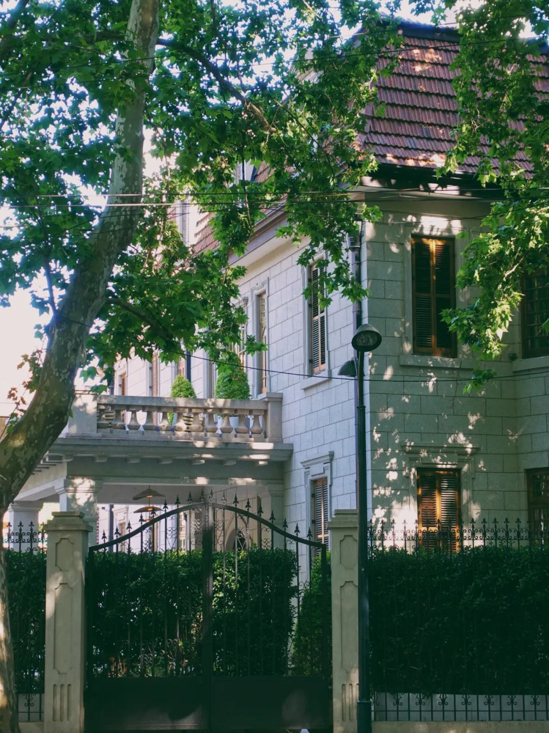 这条400米的上海小马路,凭什么云集几大中产最爱?