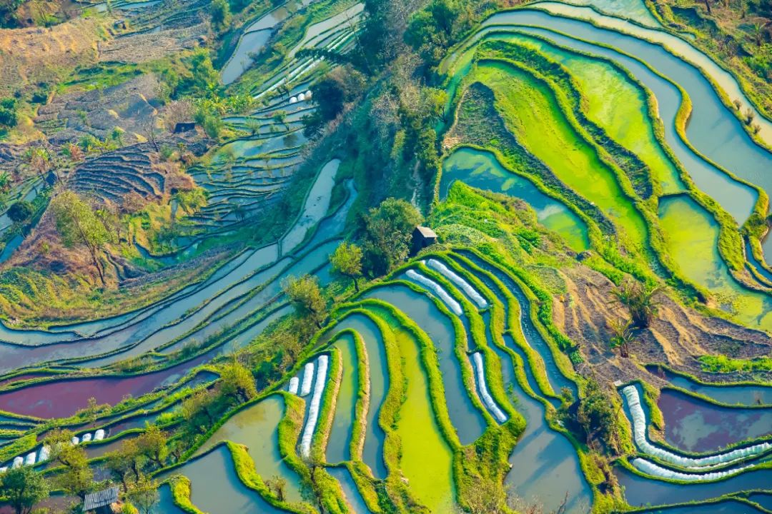 云南红河州旅游景点有哪些?红河州最值得去的10个地方