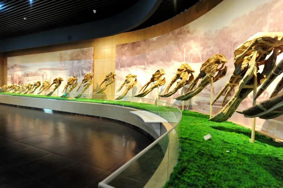 端午去哪玩?临夏这些景点不容错过