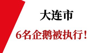 大连市6名企鹅被执行！