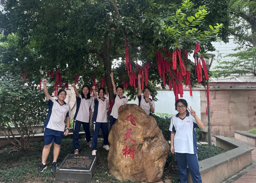 "甘蔗从高明带回来的!