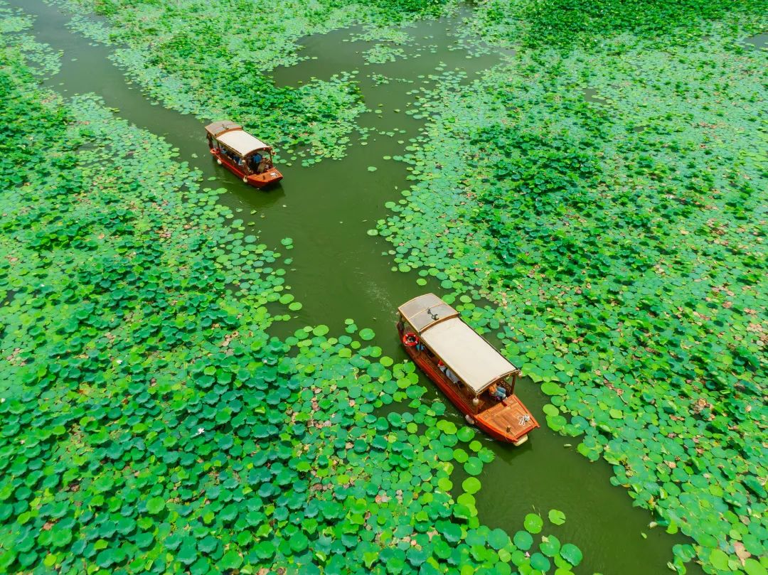 图源:古劳水乡梁赞故居梁赞故居,是建于清代的传统广府式院落.