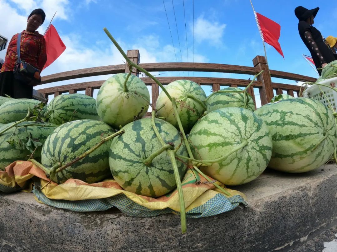 妈耶!十堰郧阳出现惊天大瓜