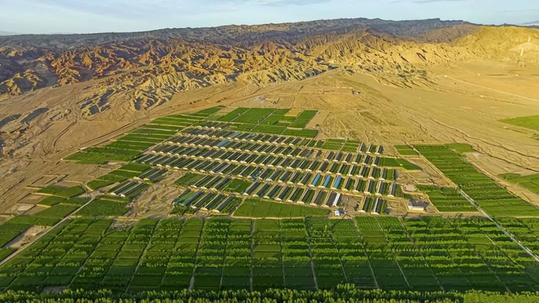 沙海攻坚 勠力苦战 ——打好"三北"工程攻坚战一周年综述