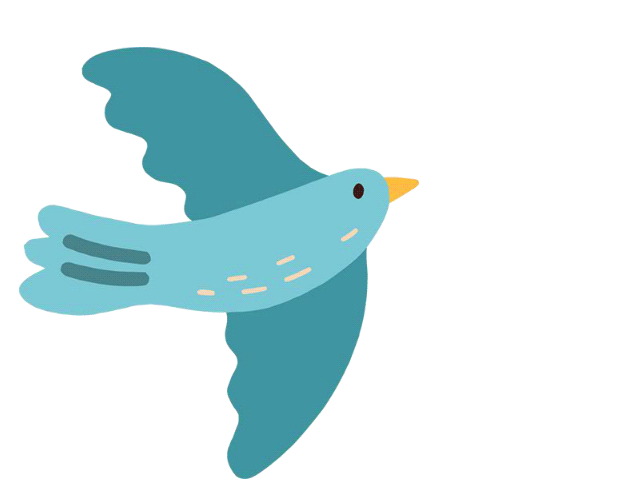 据了解,授课老师洪爽是一名95后缙云籍手工博主,高中就读于缙云中学