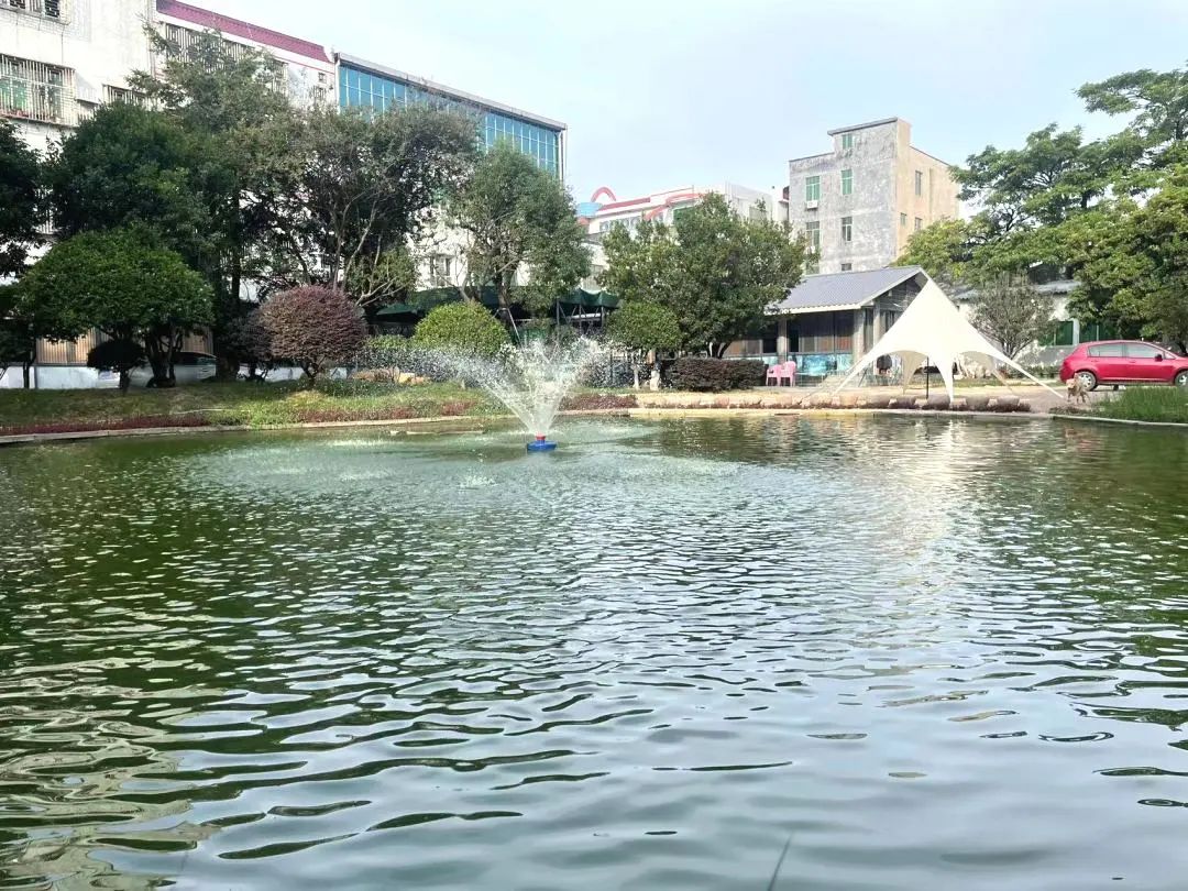 彩塘镇和平村庭院掠影|未完待续|微信号|czwomen潮州市妇女联合会继续