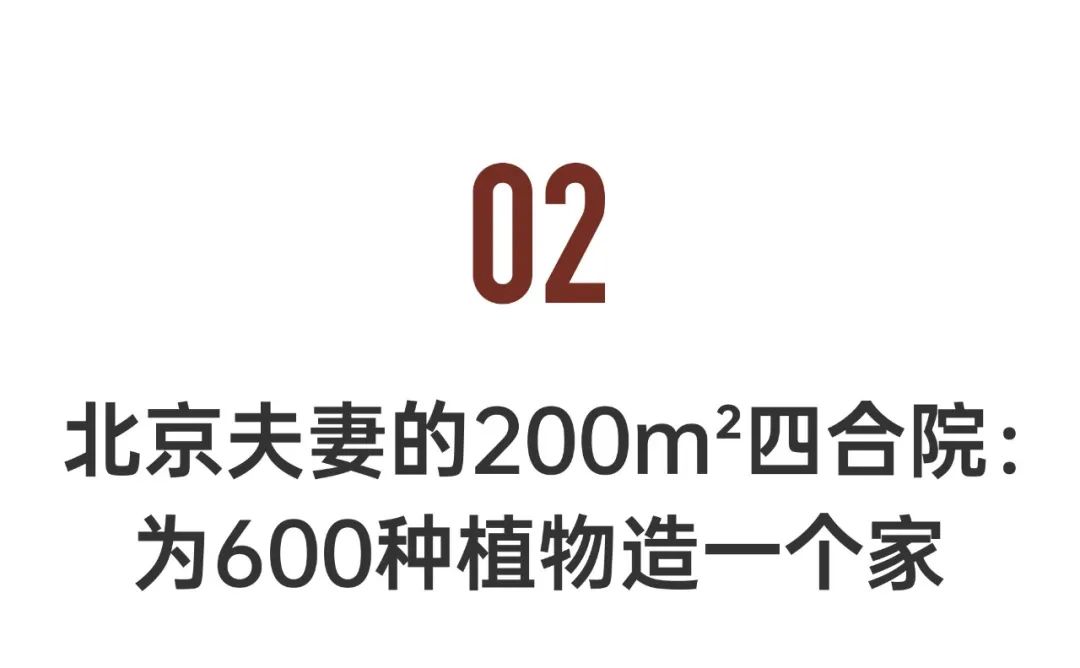 回到乡村,邻居都是亲戚,有时还会互相送送新摘的玉米和蔬菜,找回了