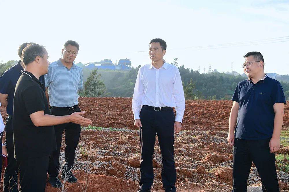 中央生态环保督察 | 玉溪市市长江华到澄江市现场督导中央生态环境