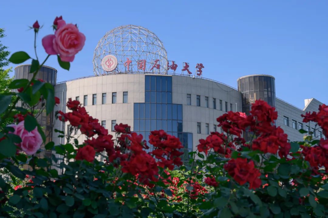 北京日月星辰花卉市场图片
