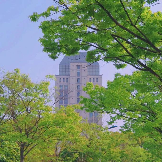 德阳科技职业学院如何_德阳科贸职业学院_德阳科技贸易技术学院怎么样