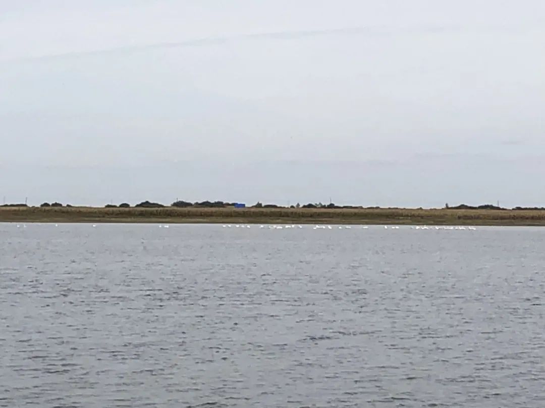 作者:斯日古楞原标题:《阿都沁苏木神奇的"宝乐根乌苏"