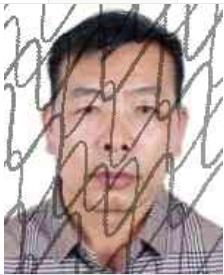 武宣法院节前曝光最新一批失信被执行人名单