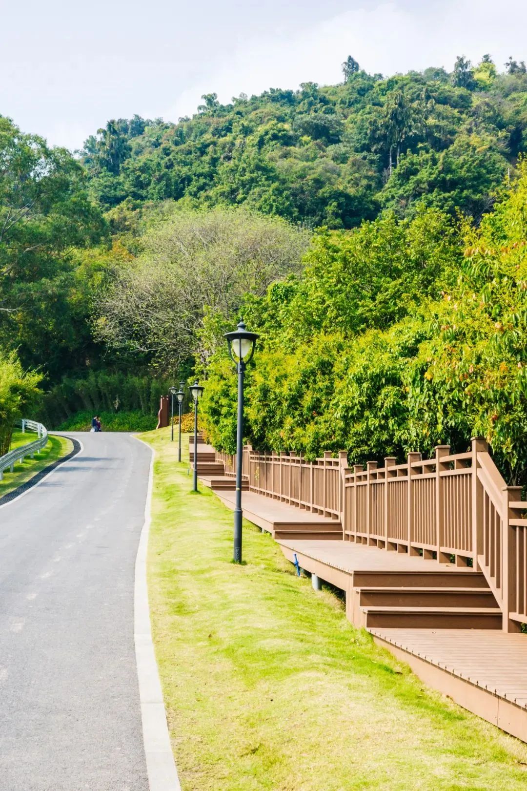 在黄埔,藏着一个「宝藏步道」,有大草坪可以露营野餐,最美s型绿道骑车