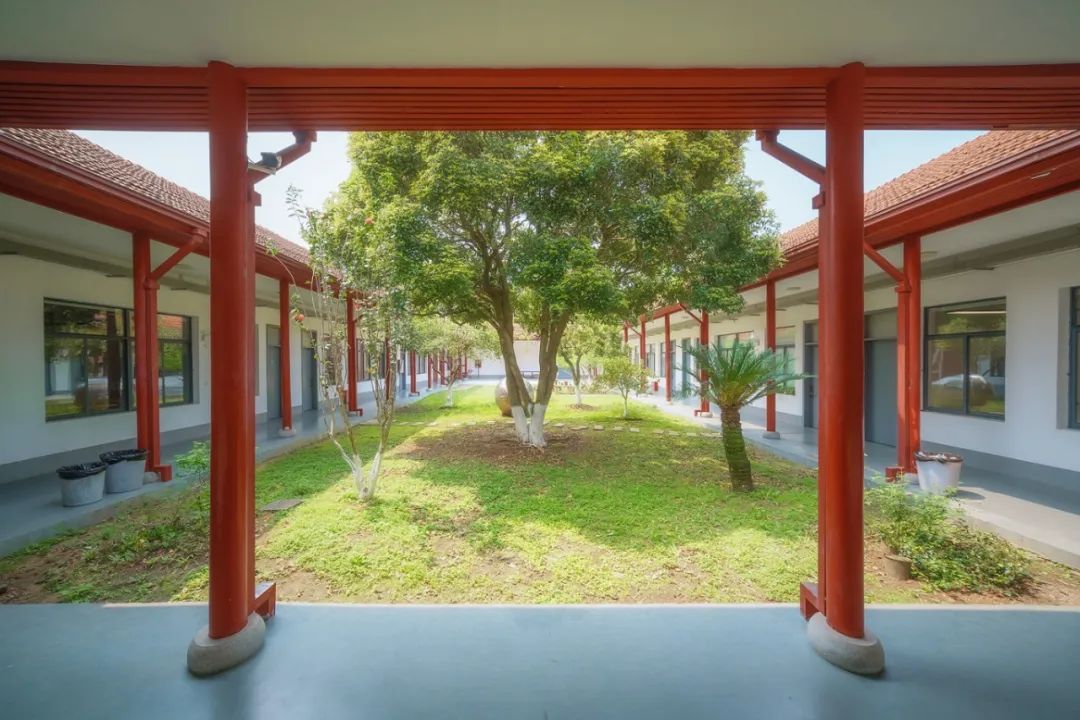 湖南大学师生与日本学者在四合院一起栽种的桂花树跃动着轻盈流丽的美