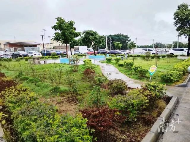 又一公园即将"上新"!政企双向奔赴,"名企百园"共建"绿美三水"