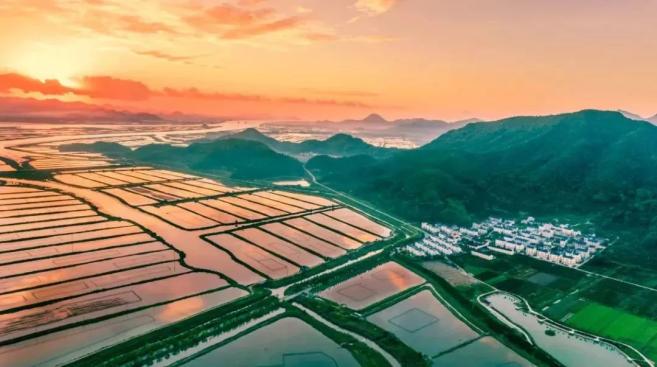 三门这些好去处"拍了拍"你!