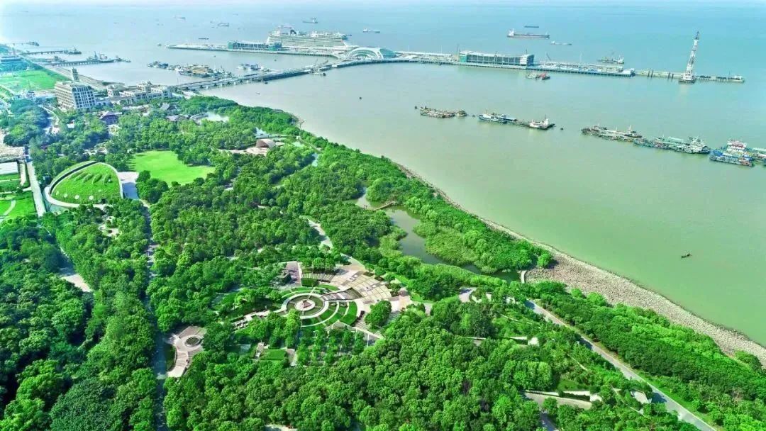上海炮台湿地公园简介图片