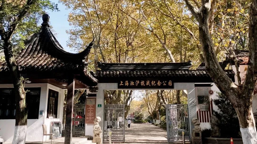 宝山这条滨江线,带你畅游上海国际邮轮旅游度假区