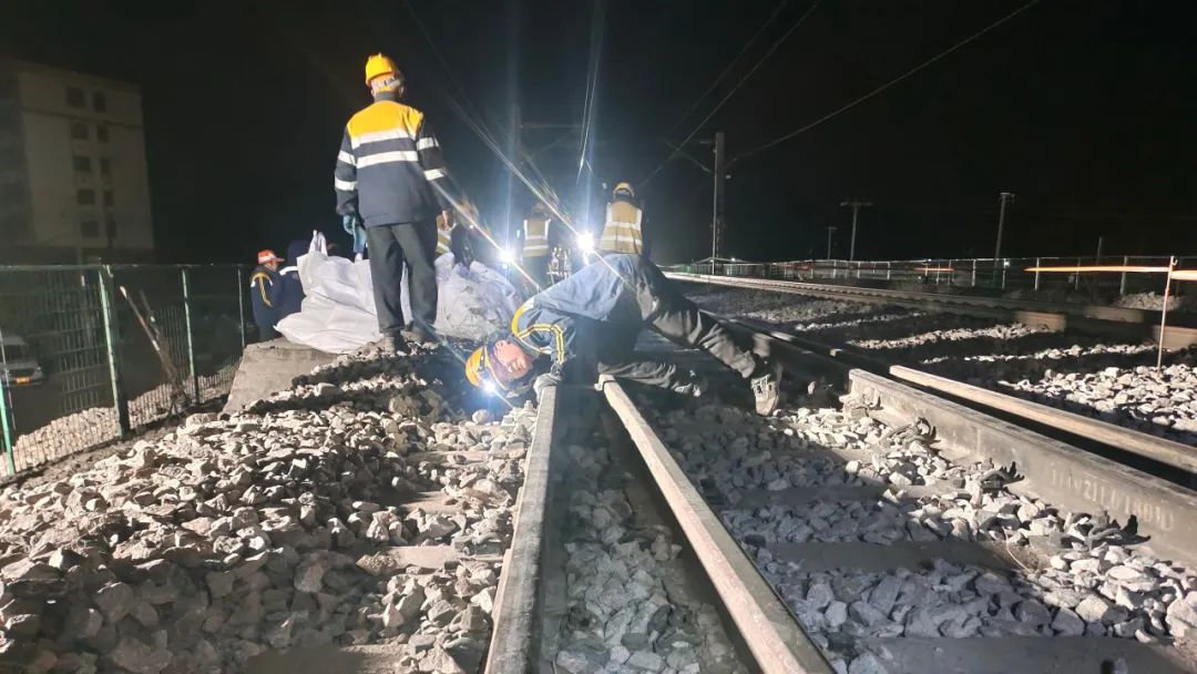 乌鞘岭上绘就精彩画卷